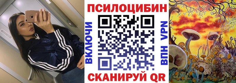 Псилоцибиновые грибы Psilocybine cubensis  Владивосток 